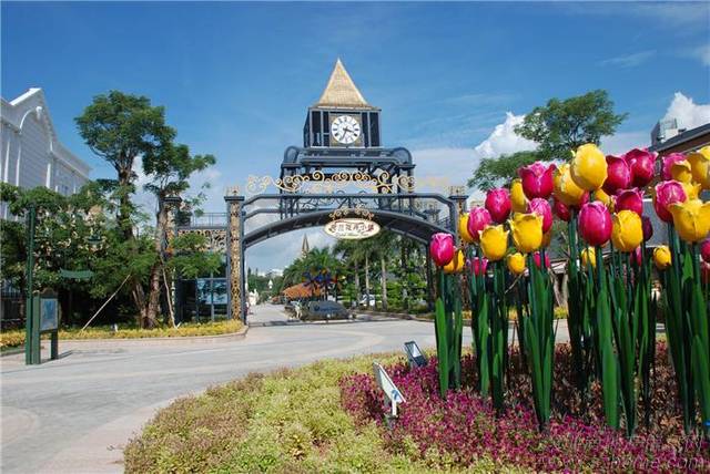 Holland Flower Town Holland Flower Town